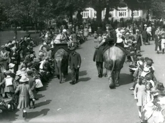 Asian elephant rides with crowds of onlookers at London Zoo